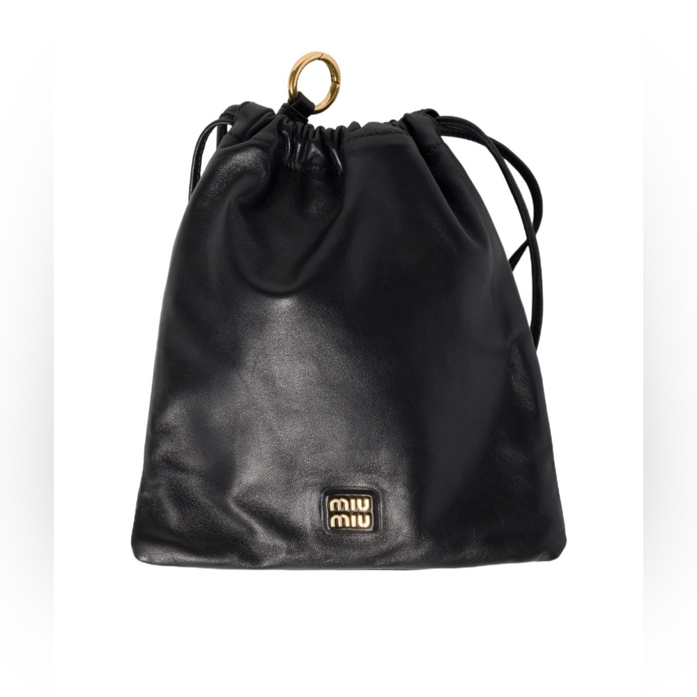 Miu Miu 
Logo Pouch bag